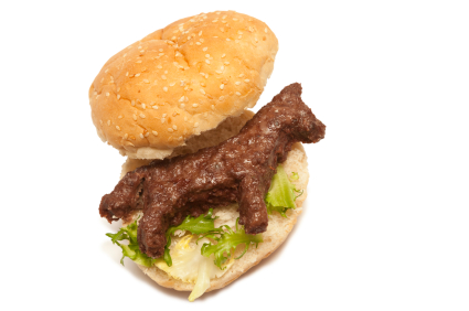 Horse meat scandal